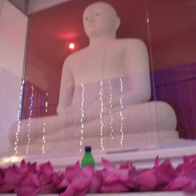 Sany0039