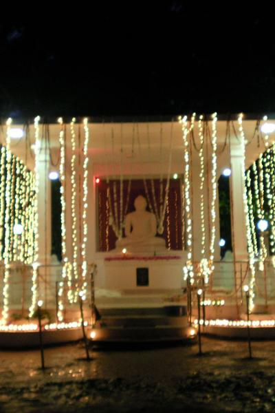 Sany0048